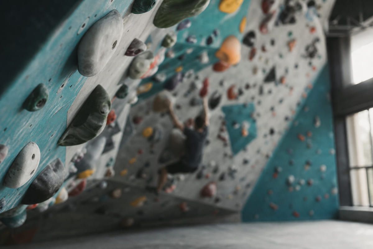 German bouldering gym wall with colour-coded problems.